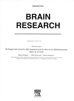 Prolonged and extensive IgG immunoreactivity after severe fluid-percussion injury in rat brain